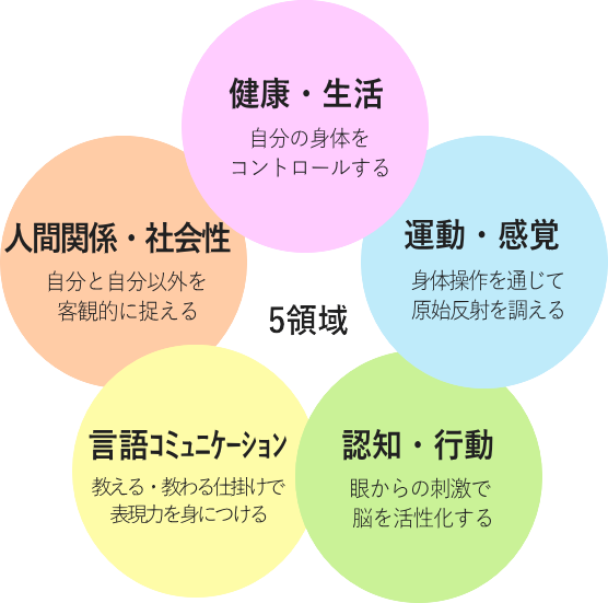 5領域